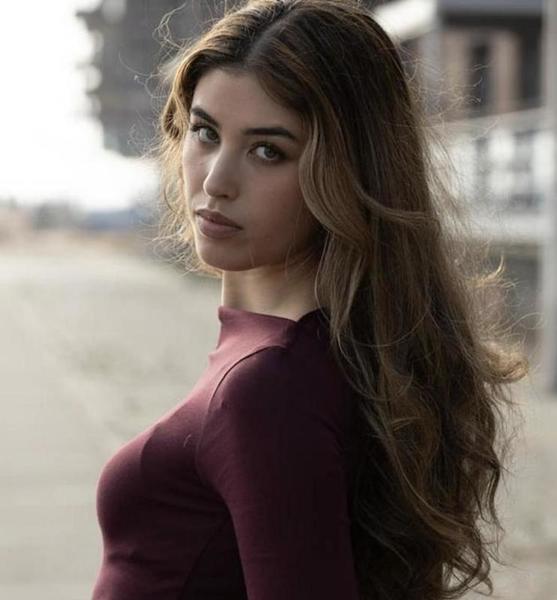 95337 image00006  copy 